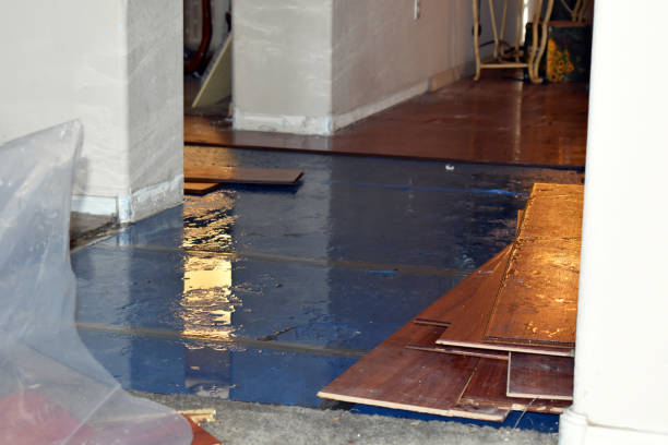 Professional Water Damage Restoration technician working in Vancleave, MS